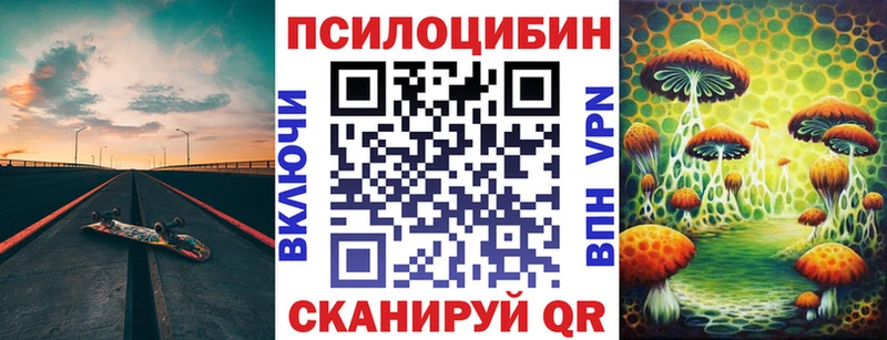 Галлюциногенные грибы Psilocybe  как найти наркотики  Качканар 
