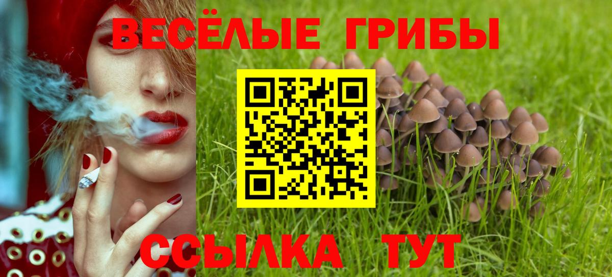 Метадон Качканар