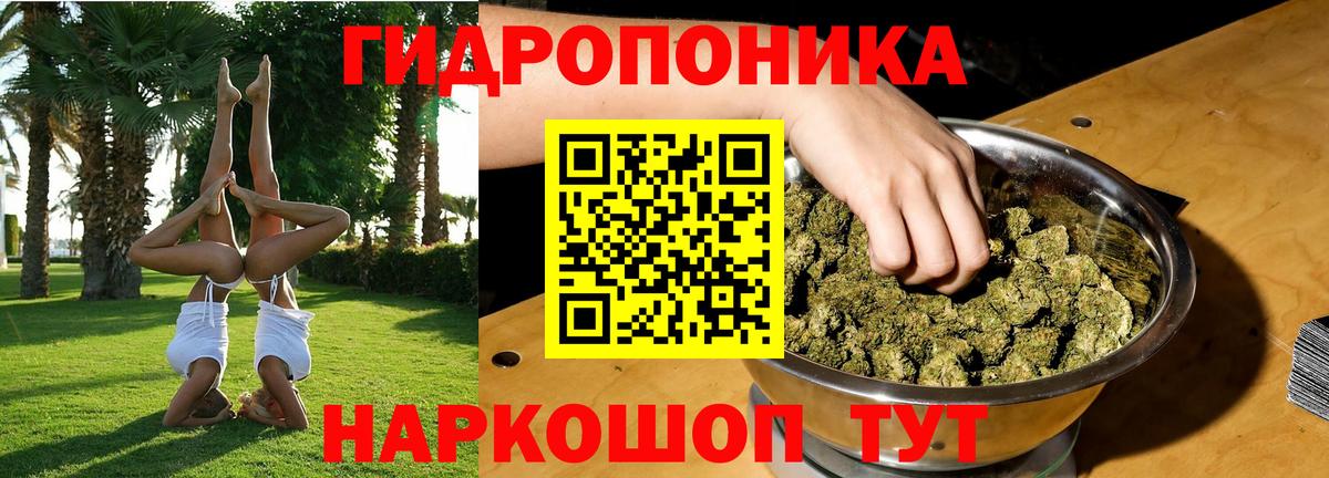 Бошки марихуана Amnesia  Вход с VPN  Конопля THC 21%  Качканар 
